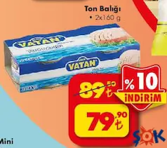 BİZİM VATAN TON BALIĞI 2X160 G